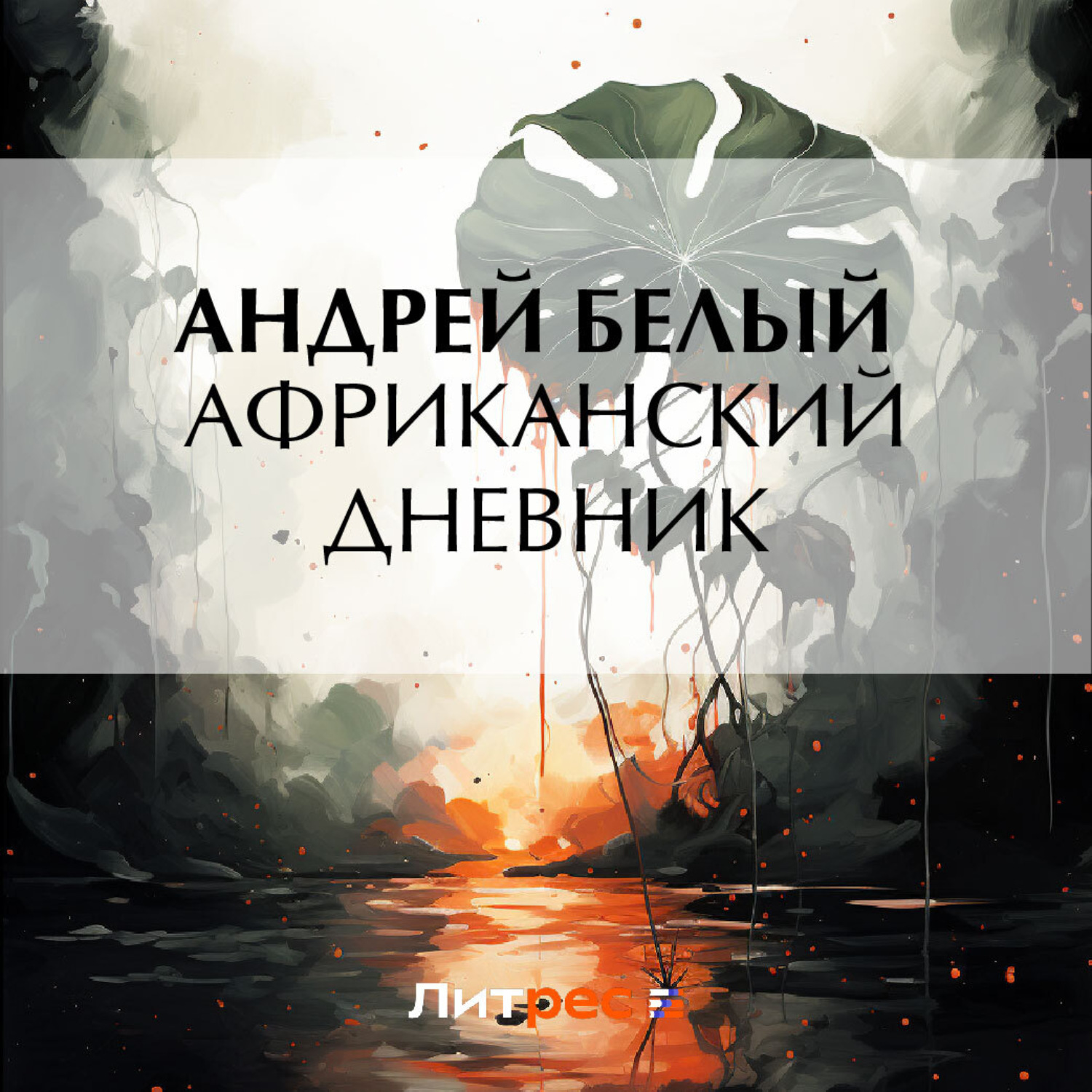 Обложка книги «Африканский дневник»