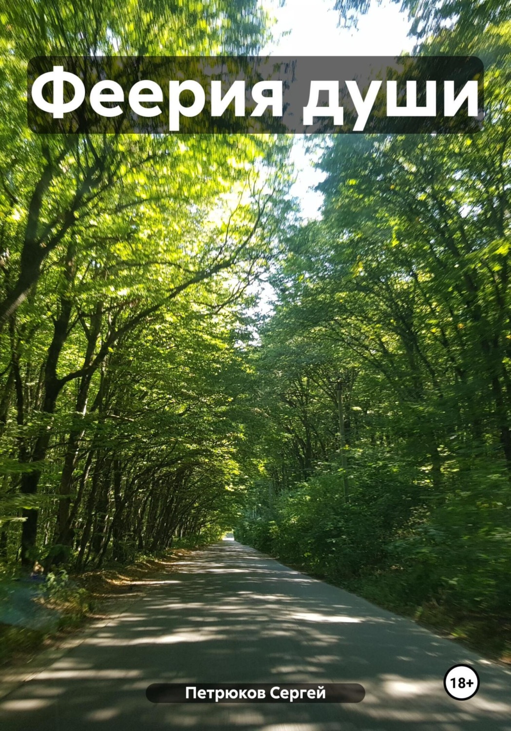 Обложка книги «Феерия Души»