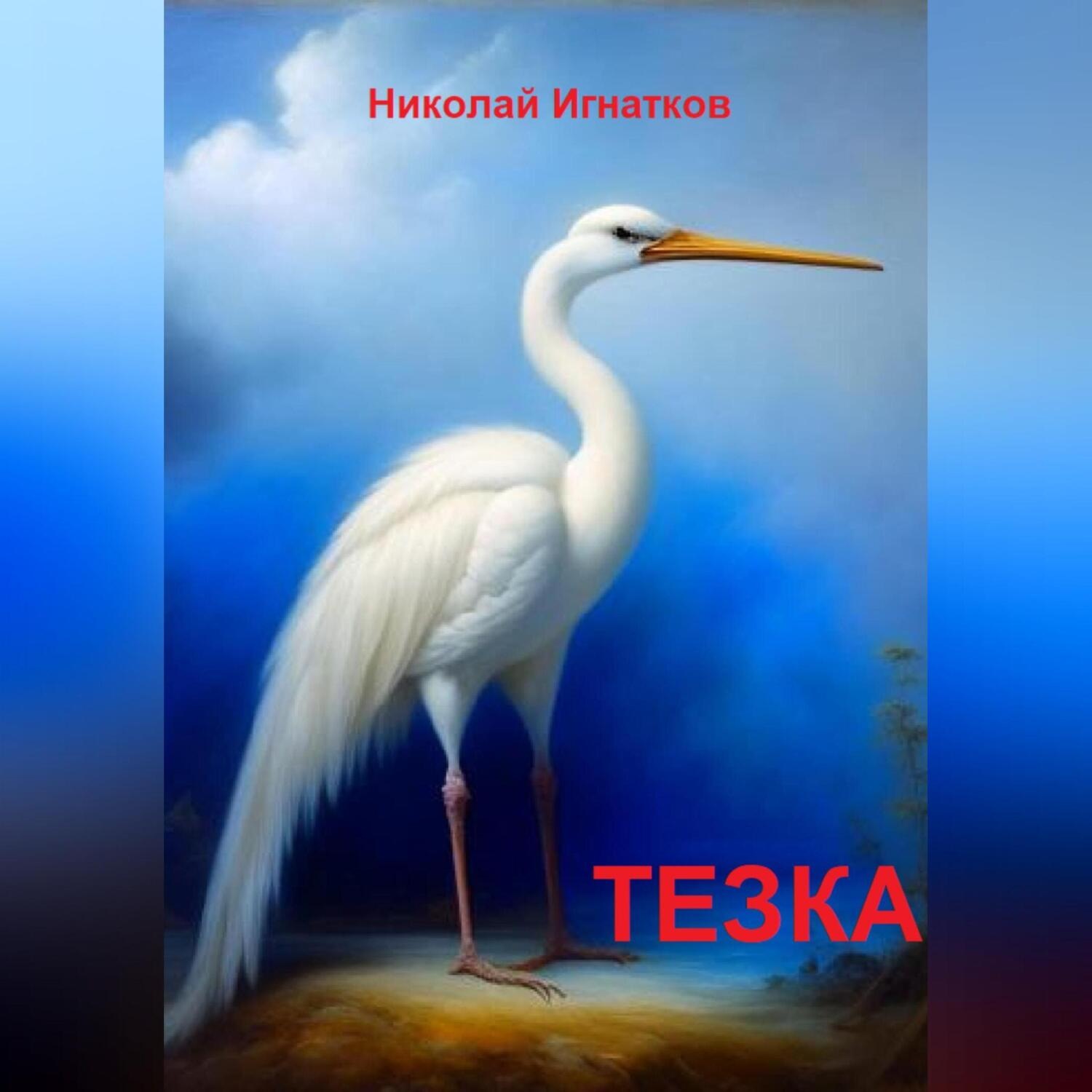 Обложка книги «Тезка»