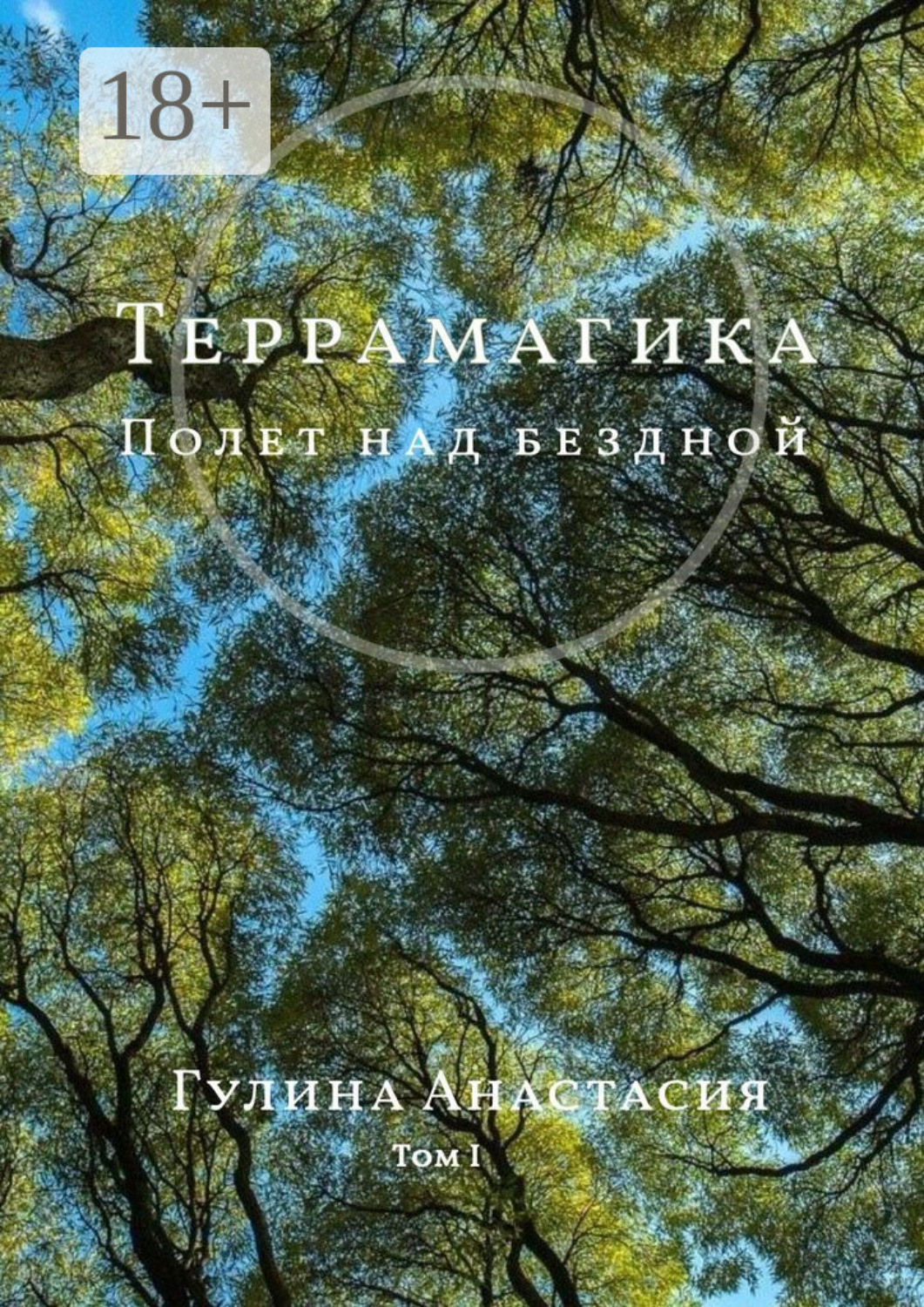 Обложка книги «Террамагика. Полет над бездной. Том I»