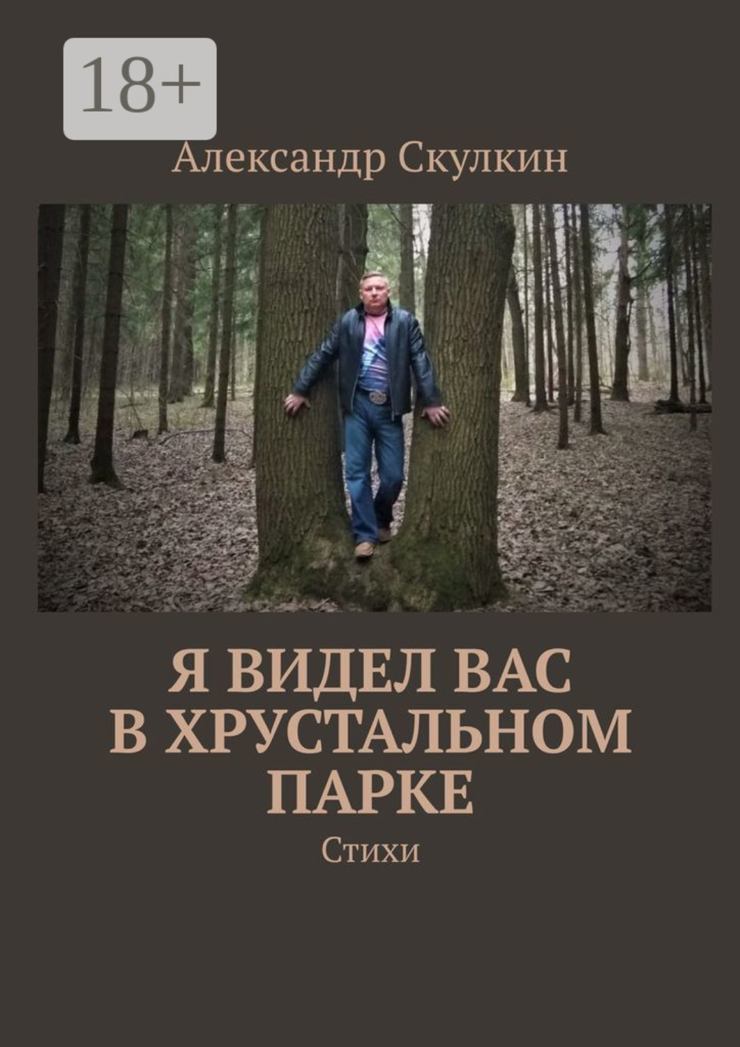 Обложка книги «Я видел вас в Хрустальном парке. Стихи»