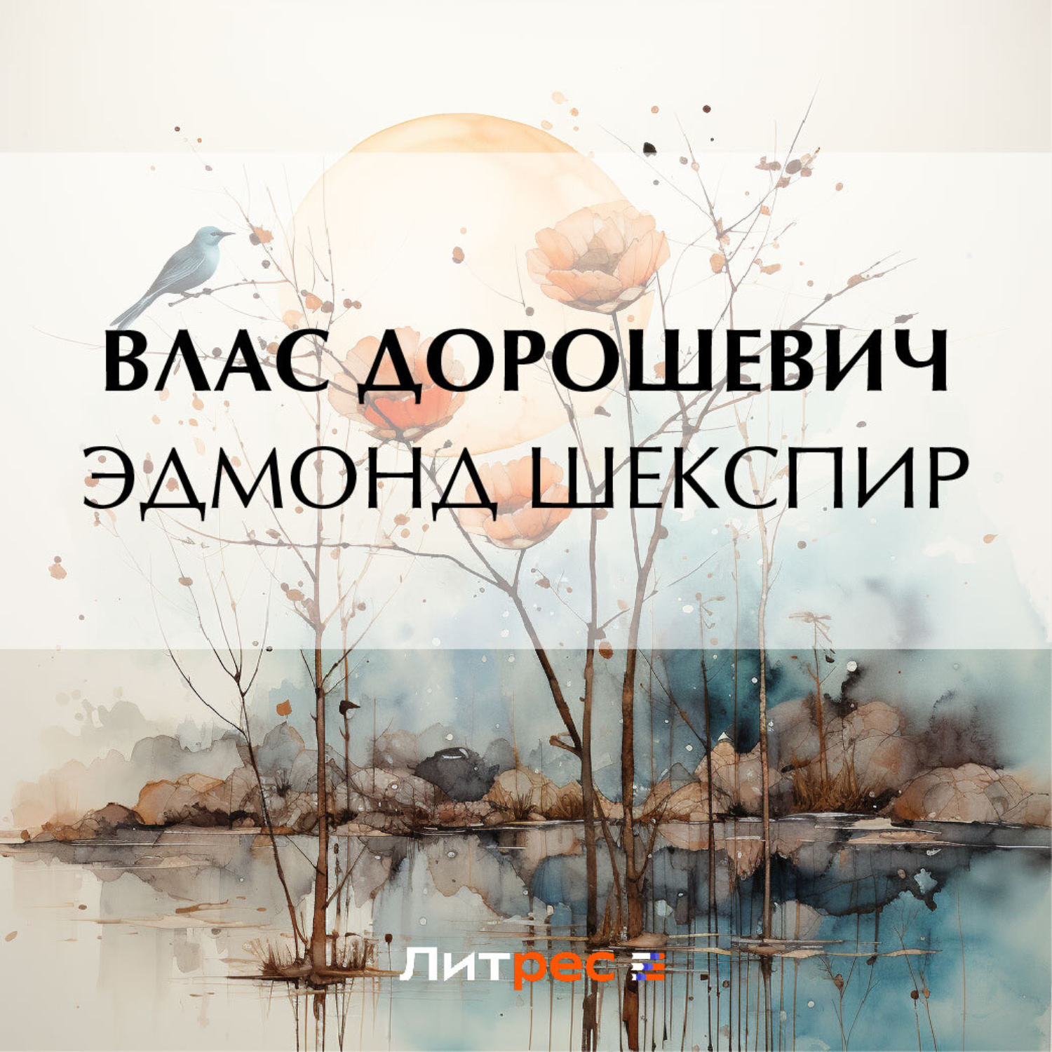 Обложка книги «Эдмонд Шекспир»