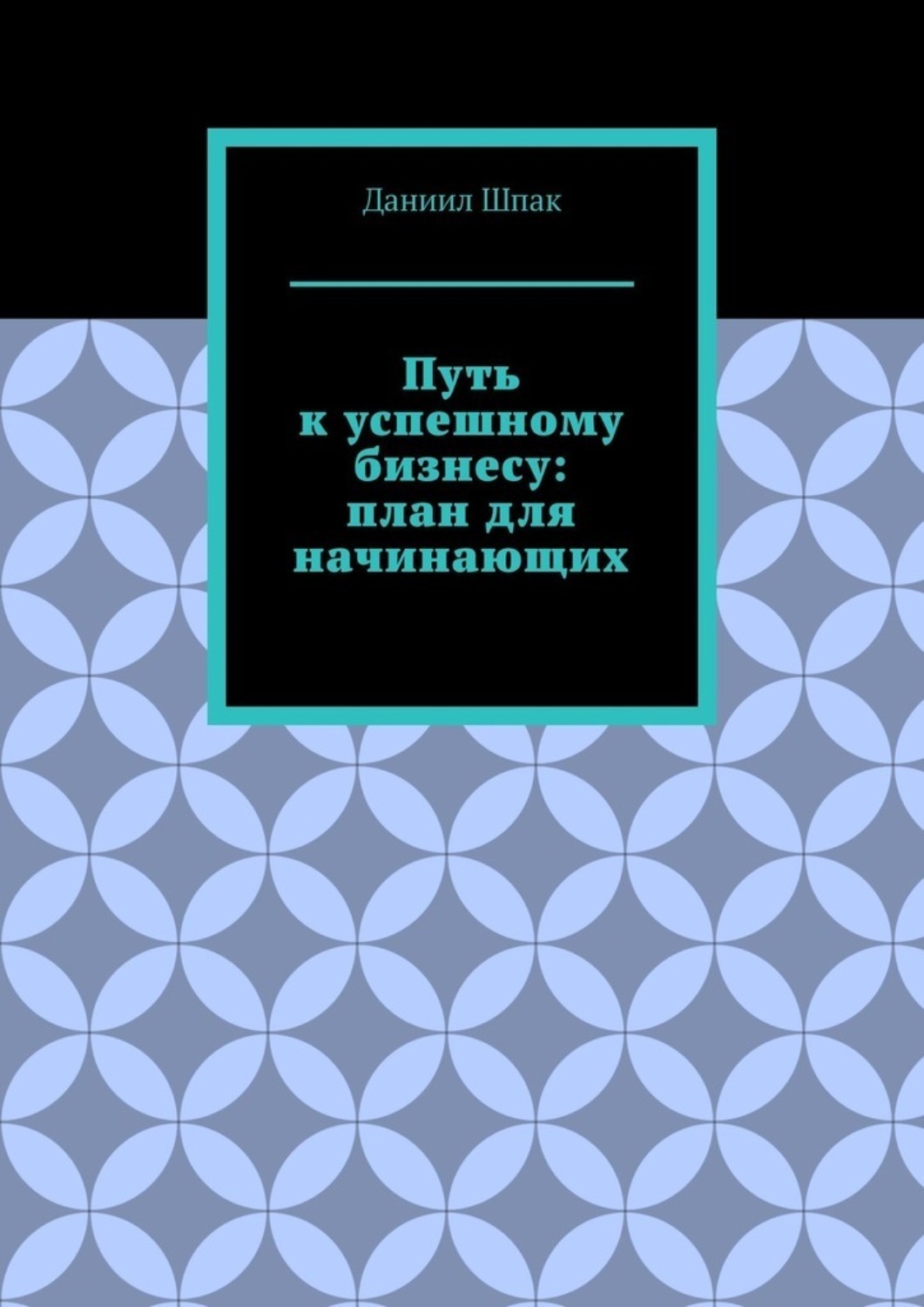 Обложка книги «Путь к успешному бизнесу: план для начинающих»