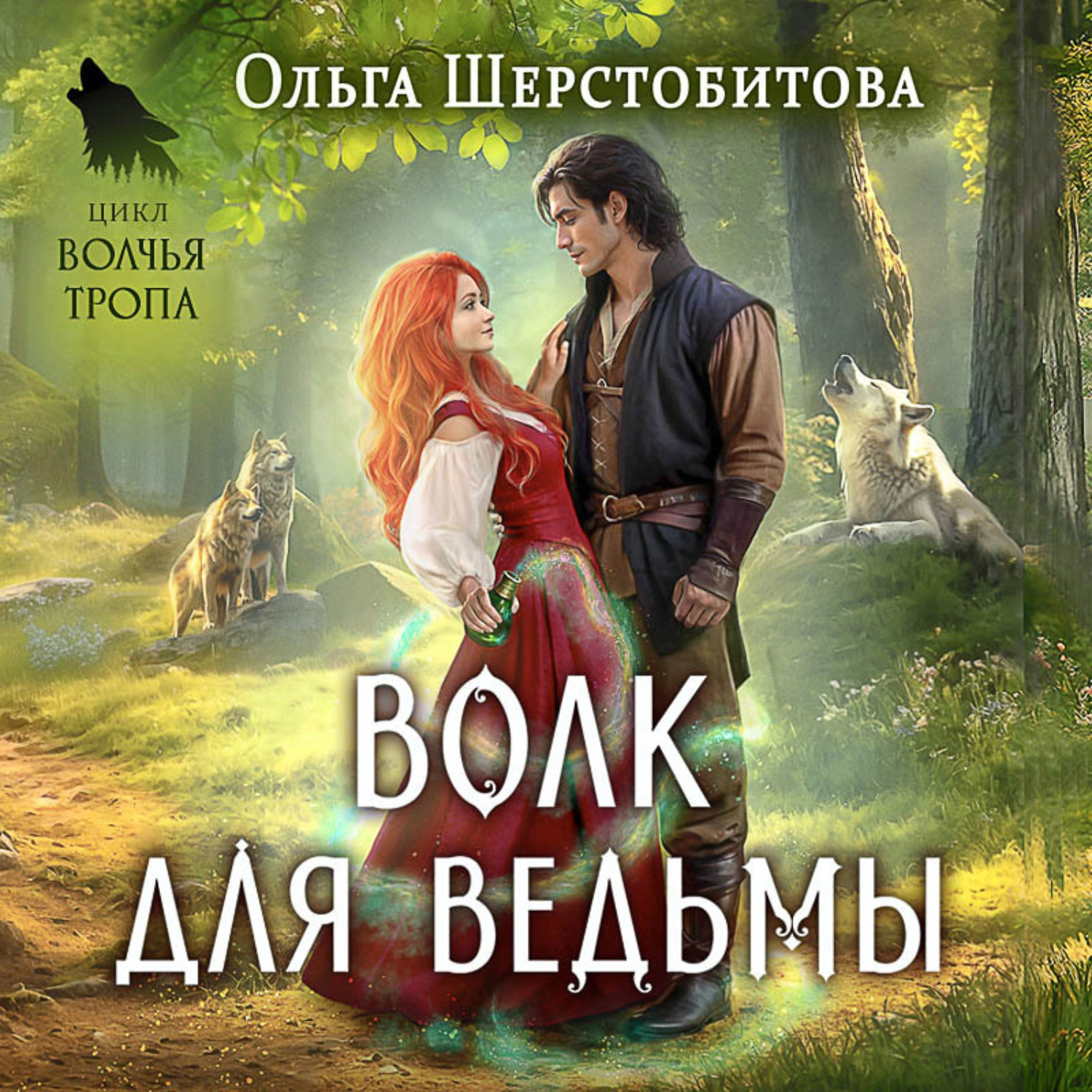Обложка книги «Волк для ведьмы»