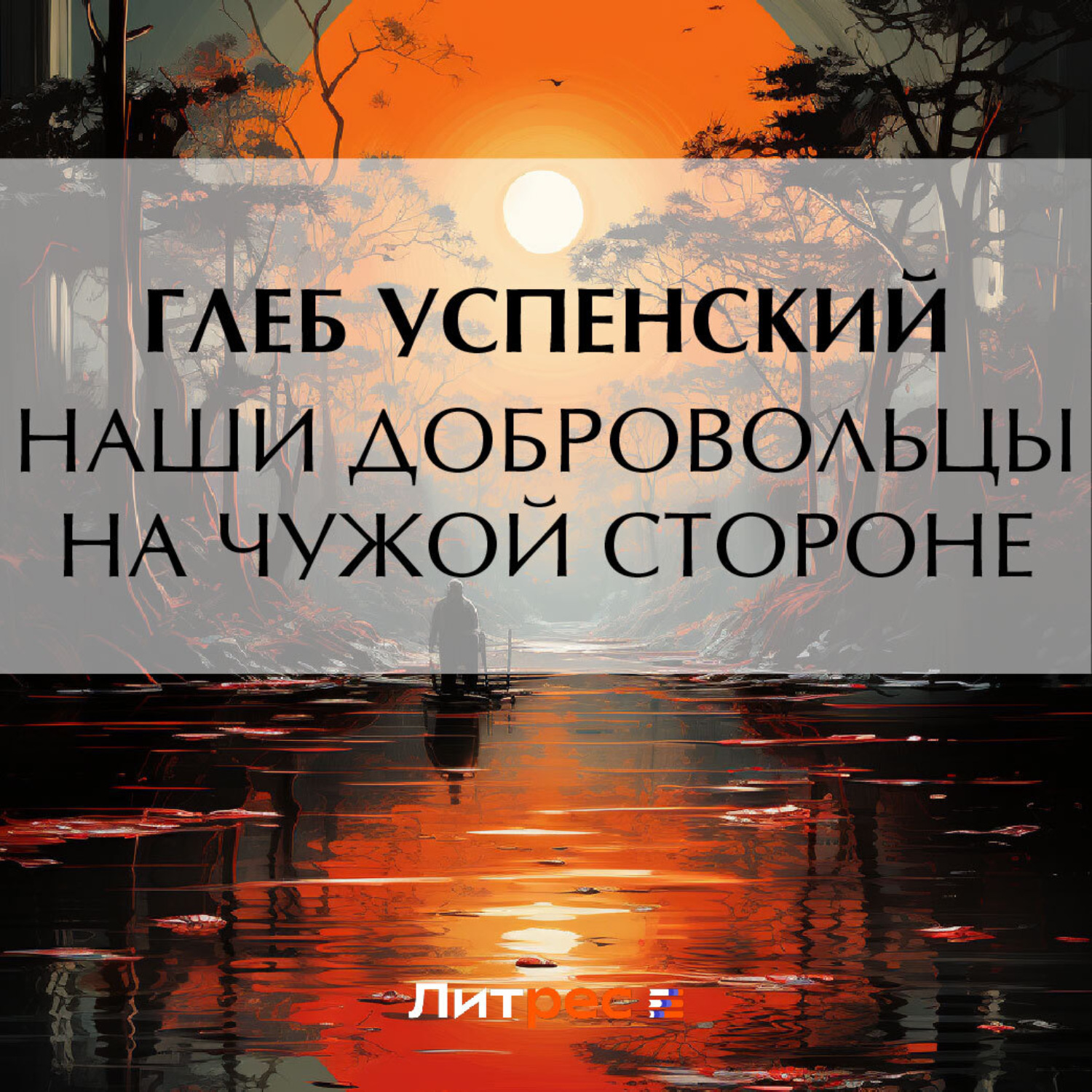 Обложка книги «Наши добровольцы на чужой стороне»