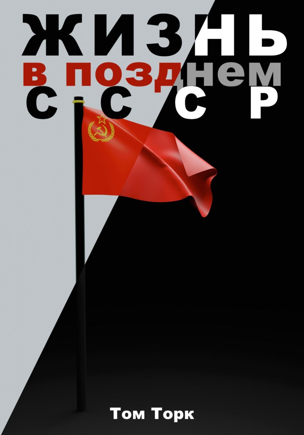 Обложка книги «Жизнь в позднем СССР»