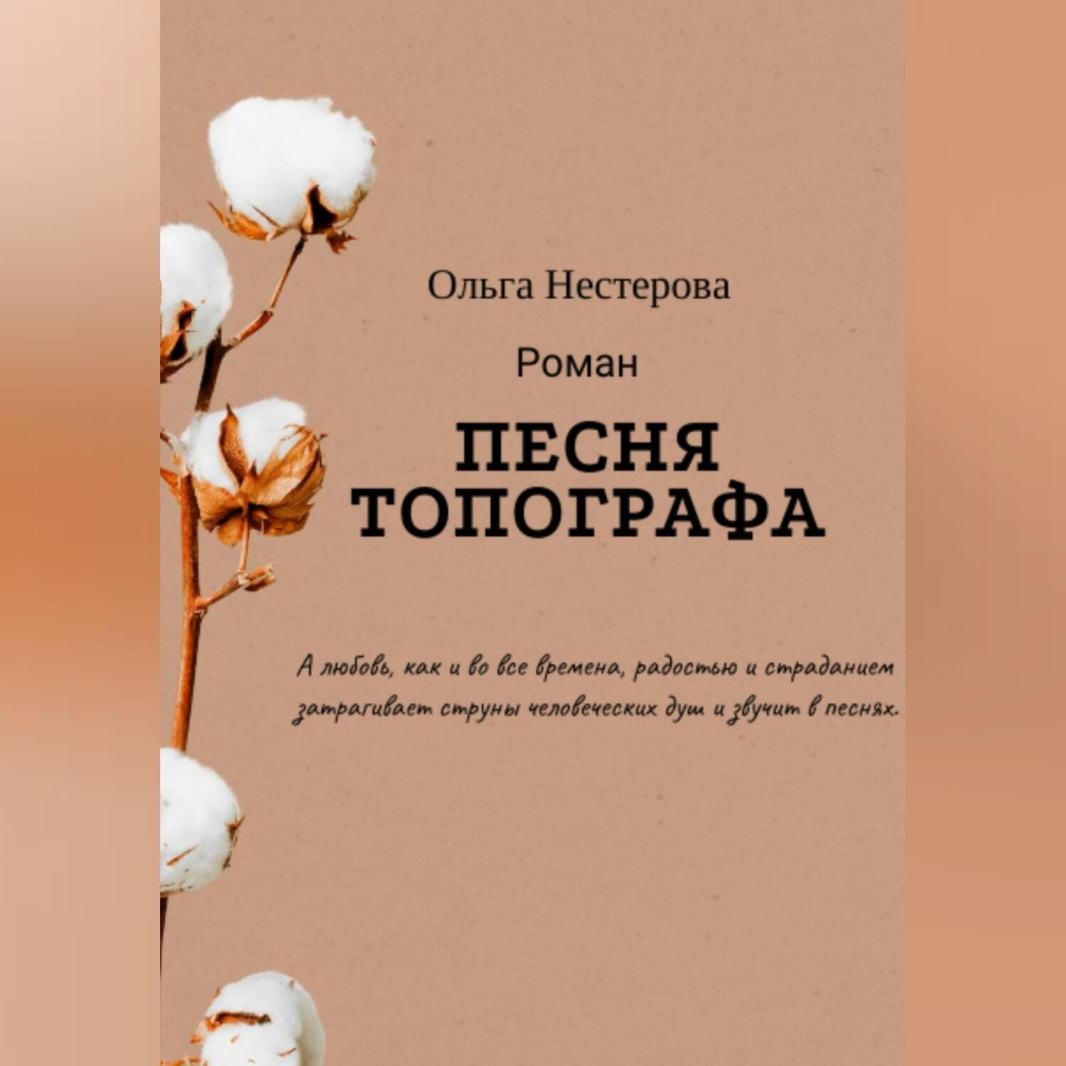 Обложка книги «Песня топографа»