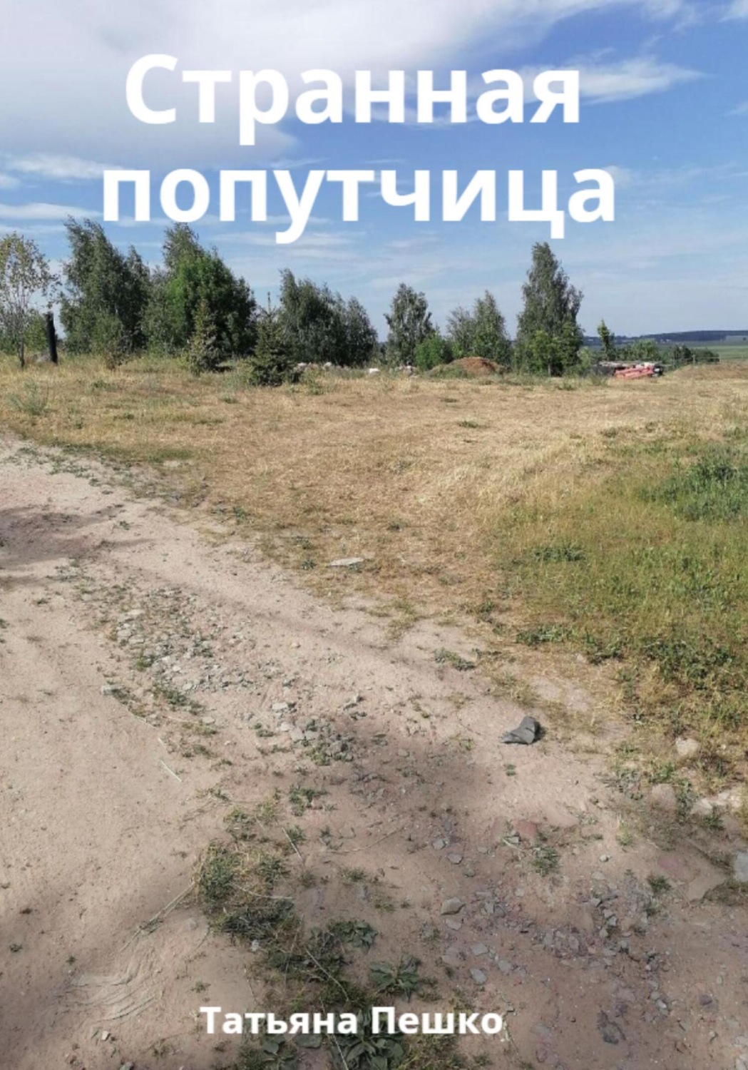 Обложка книги «Странная попутчица»