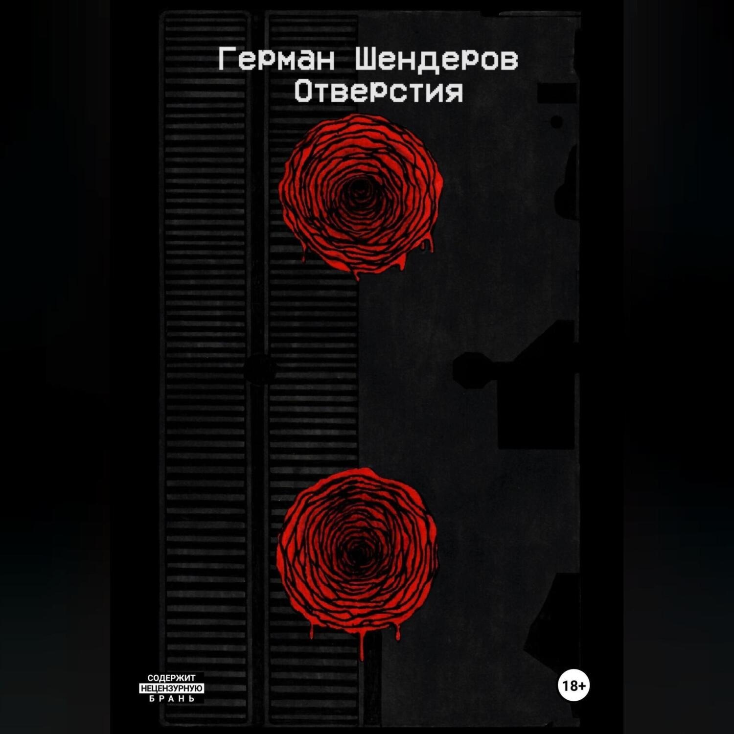 Обложка книги «Отверстия»
