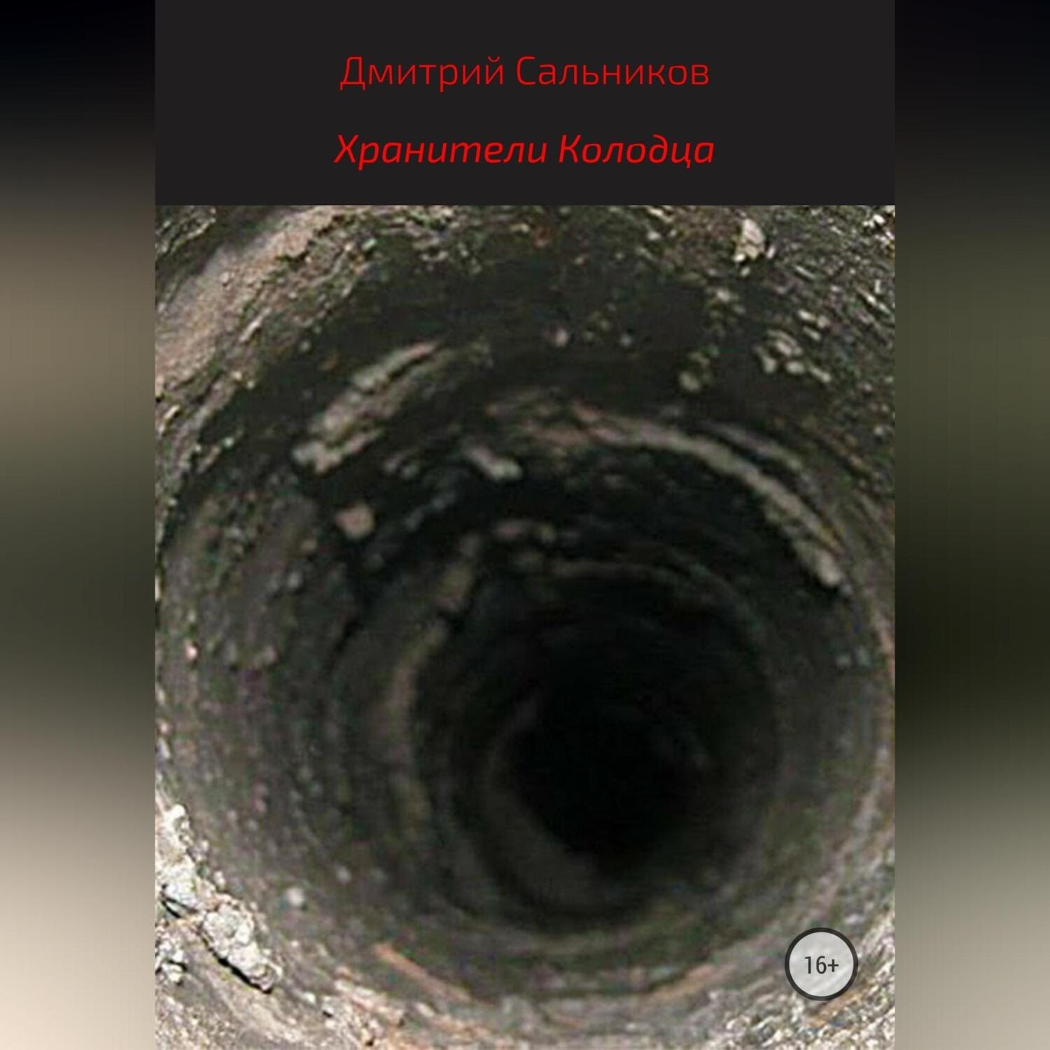 Обложка книги «Хранители колодца»