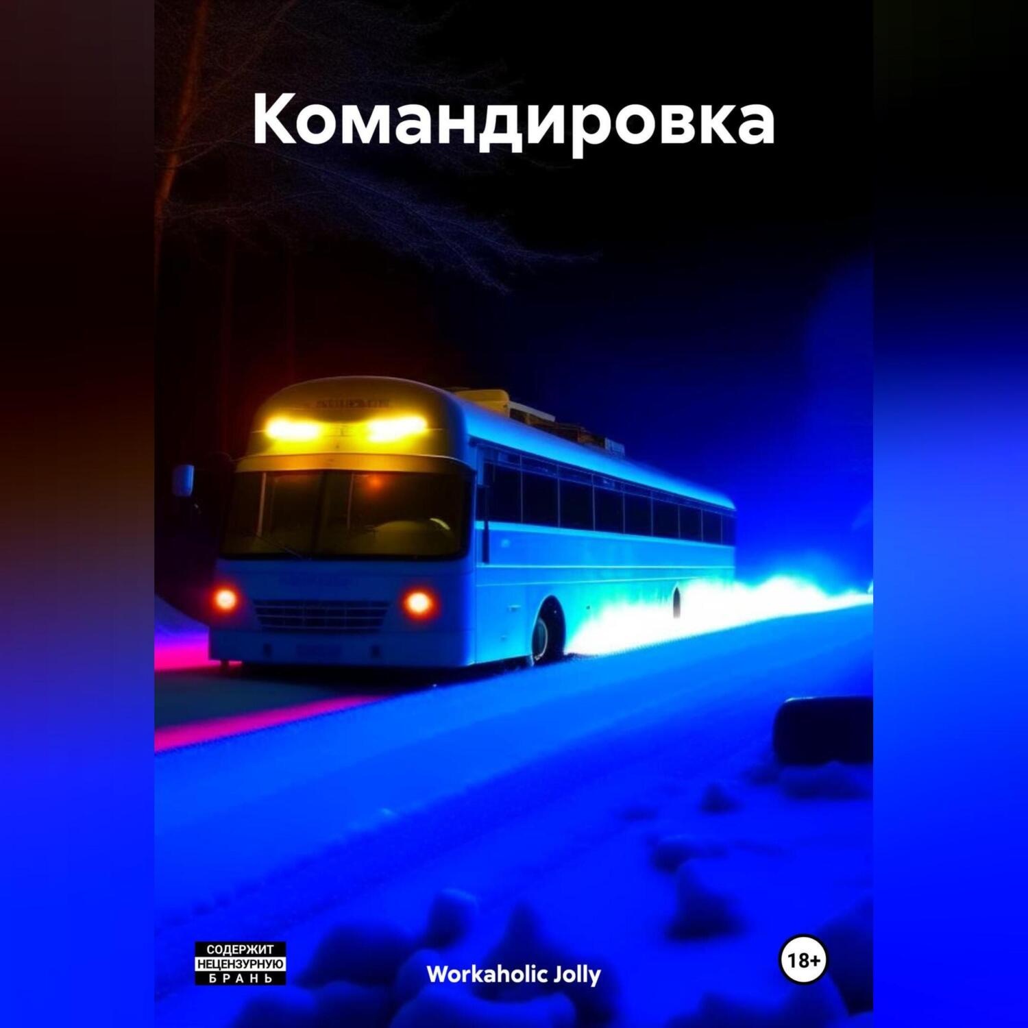 Обложка книги «Командировка»
