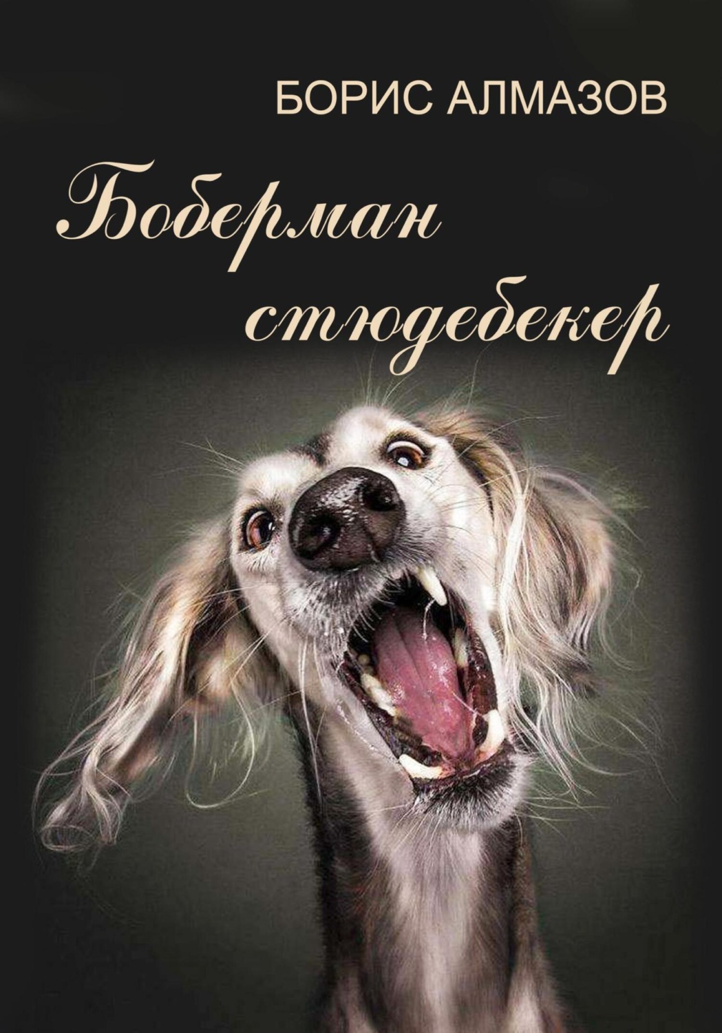 Обложка книги «Боберман-стюдебекер»
