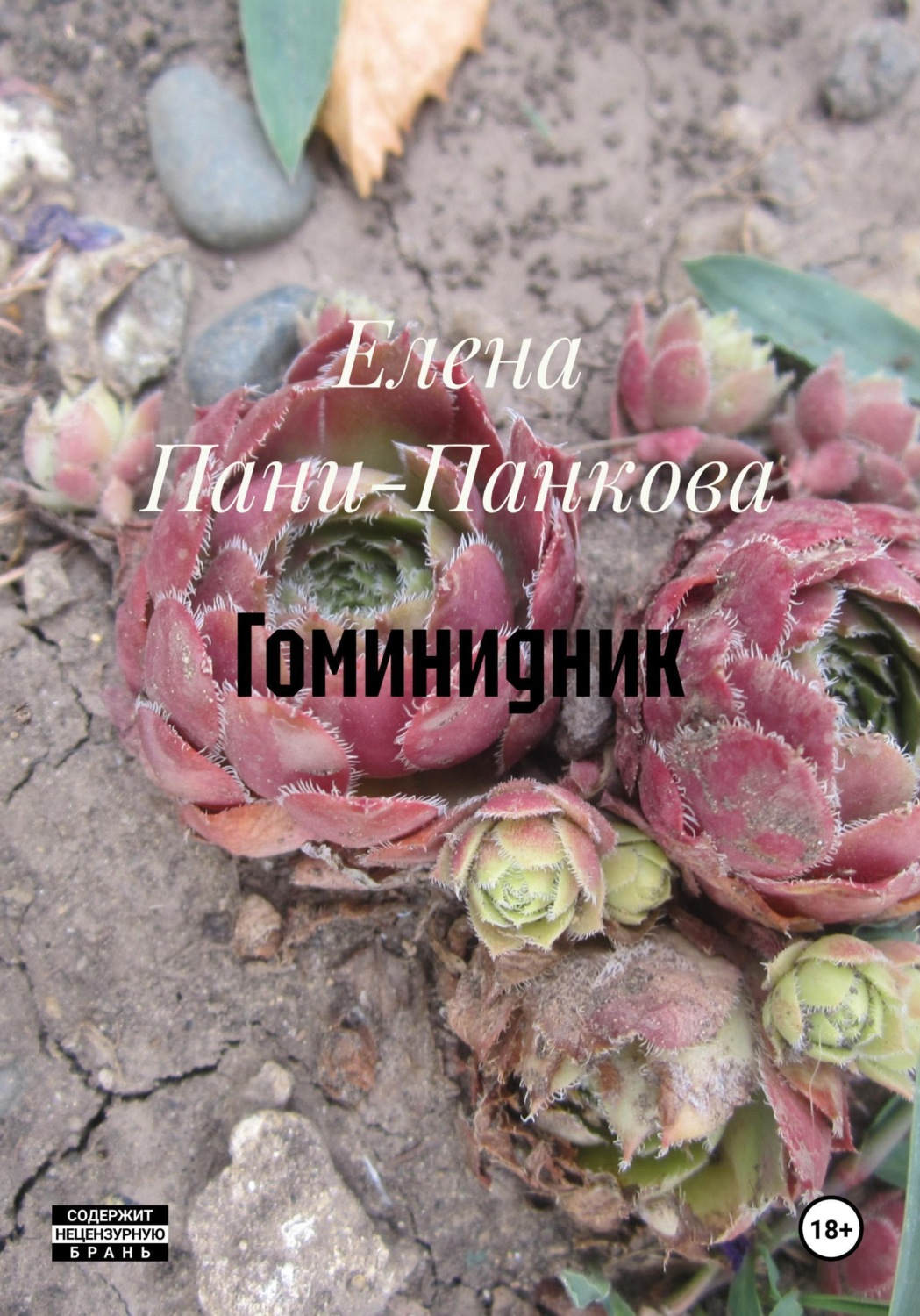 Обложка книги «Гоминидник»