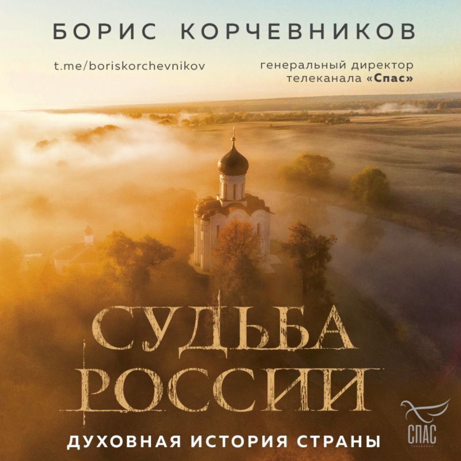 Обложка книги «Судьба России. Духовная история страны»
