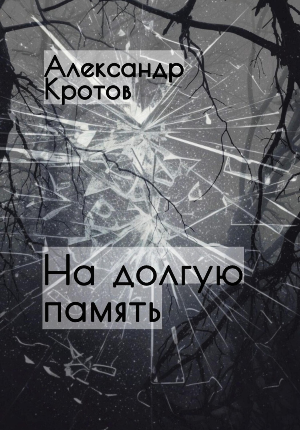 Обложка книги «На долгую память…»