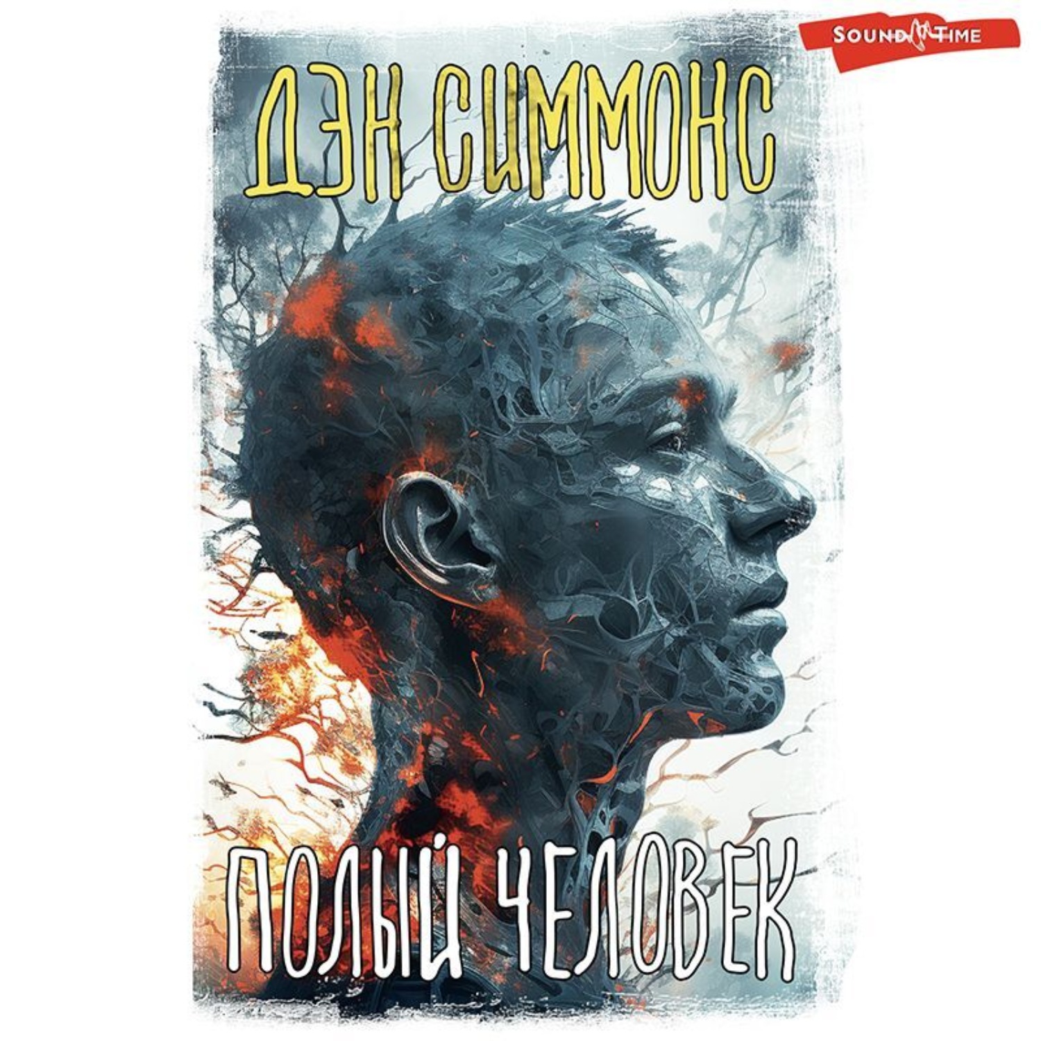 Обложка книги «Полый человек»