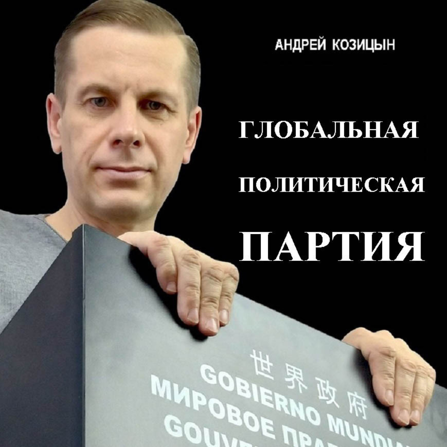 Обложка книги «Глобальная политическая партия»
