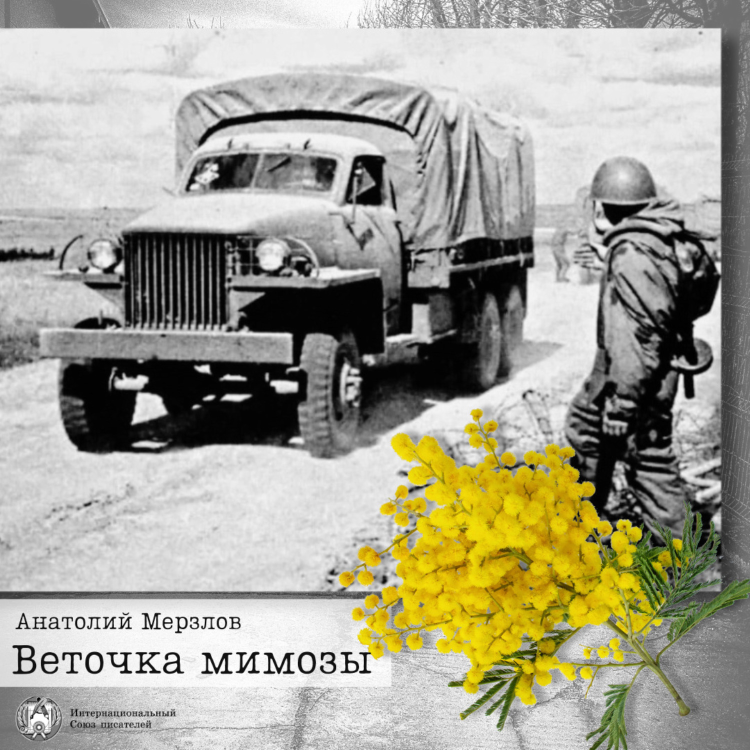 Обложка книги «Веточка мимозы»