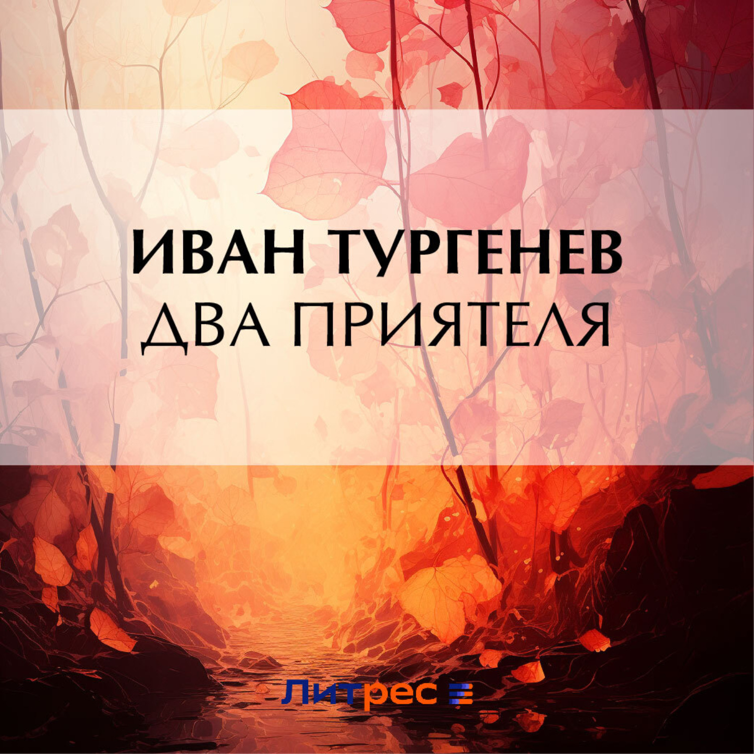Обложка книги «Два приятеля»
