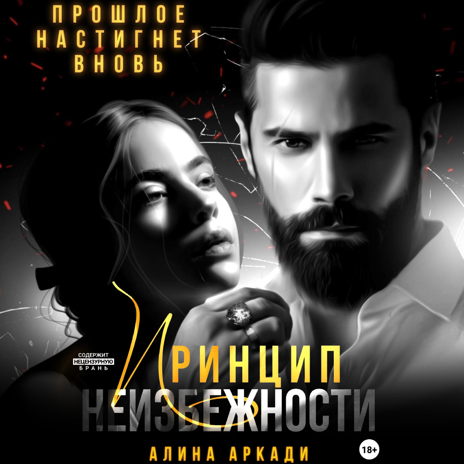 Обложка книги «Принцип неизбежности»