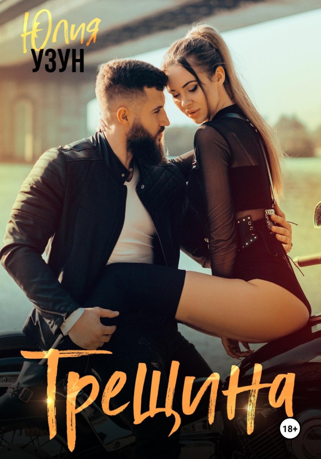 Обложка книги «Трещина»