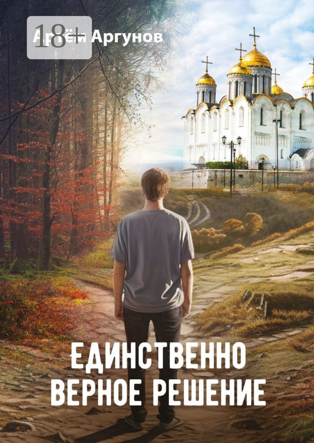 Обложка книги «Единственно верное решение»