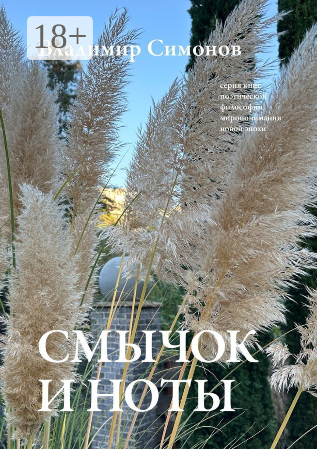Обложка книги «Смычок и ноты. Серия книг поэтической философии миропонимания новой эпохи»