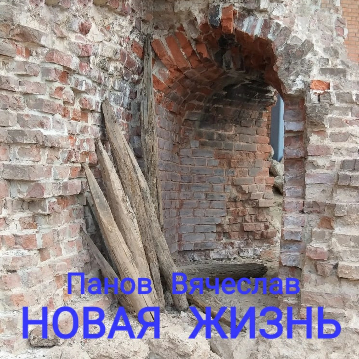 Обложка книги «Новая жизнь»