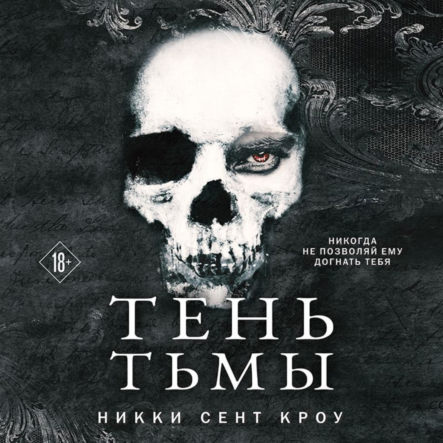 Обложка книги «Тень Тьмы»
