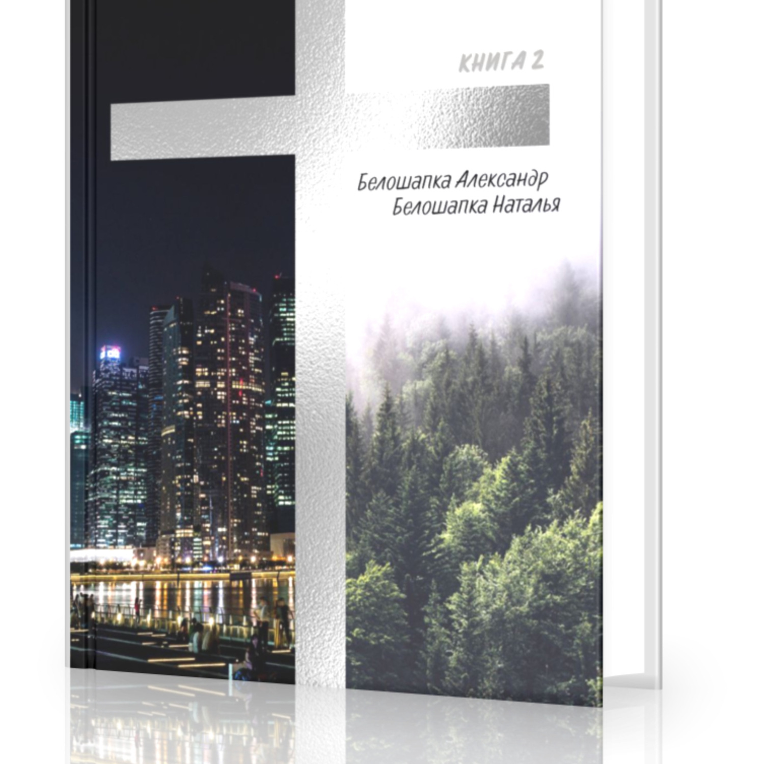 Обложка книги «Путь домой Книга 2 Целитель»