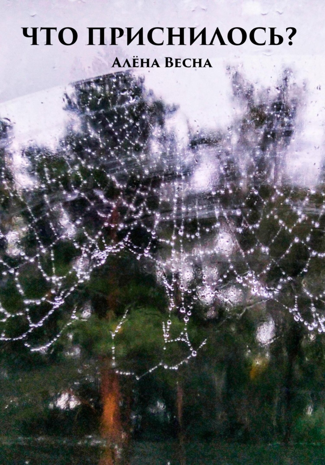 Обложка книги «Что приснилось?»