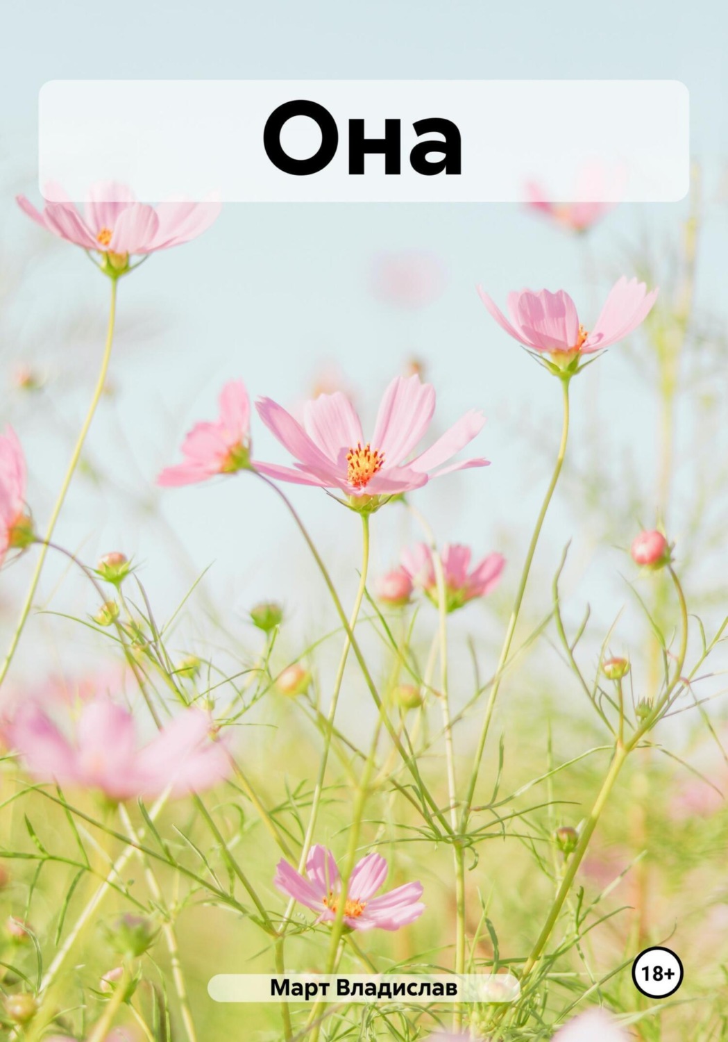Обложка книги «Она»