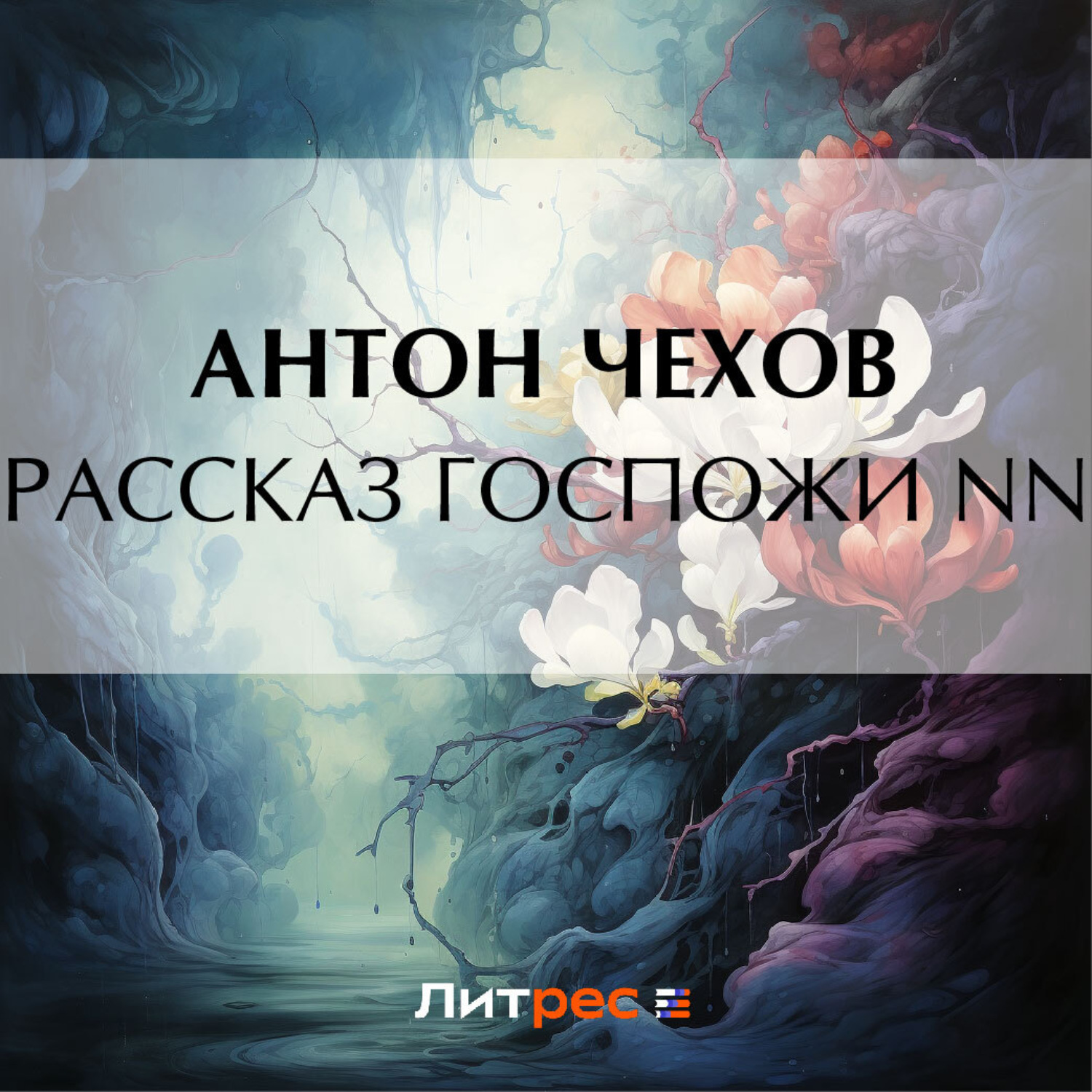 Обложка книги «Рассказ госпожи NN»