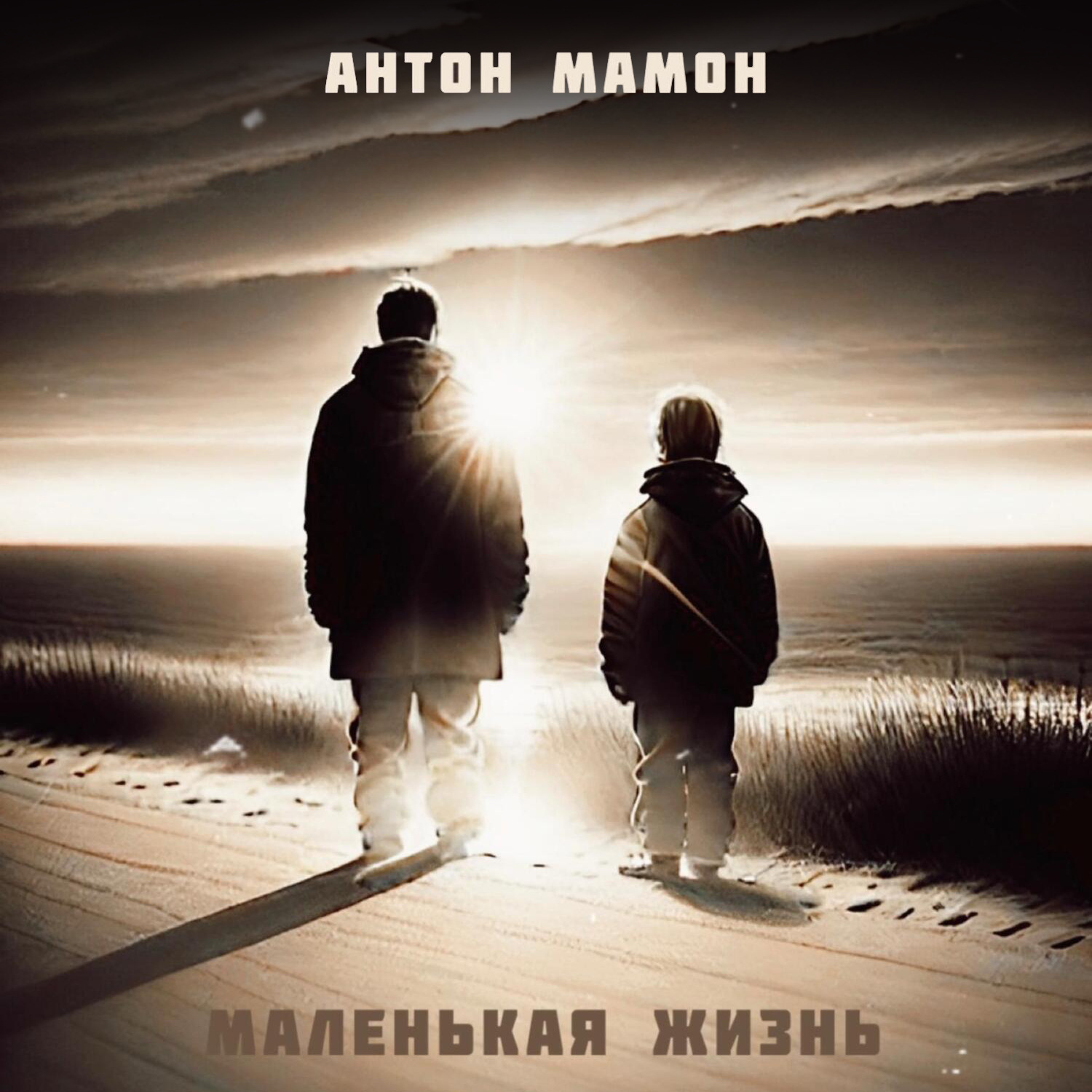 Обложка книги «Маленькая Жизнь»