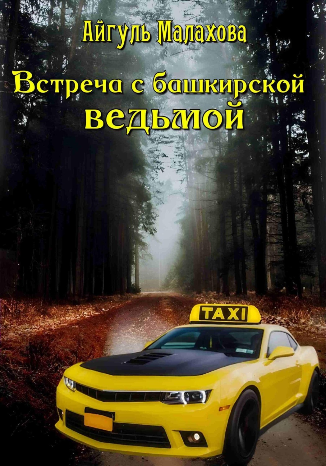 Обложка книги «Встреча с башкирской ведьмой»