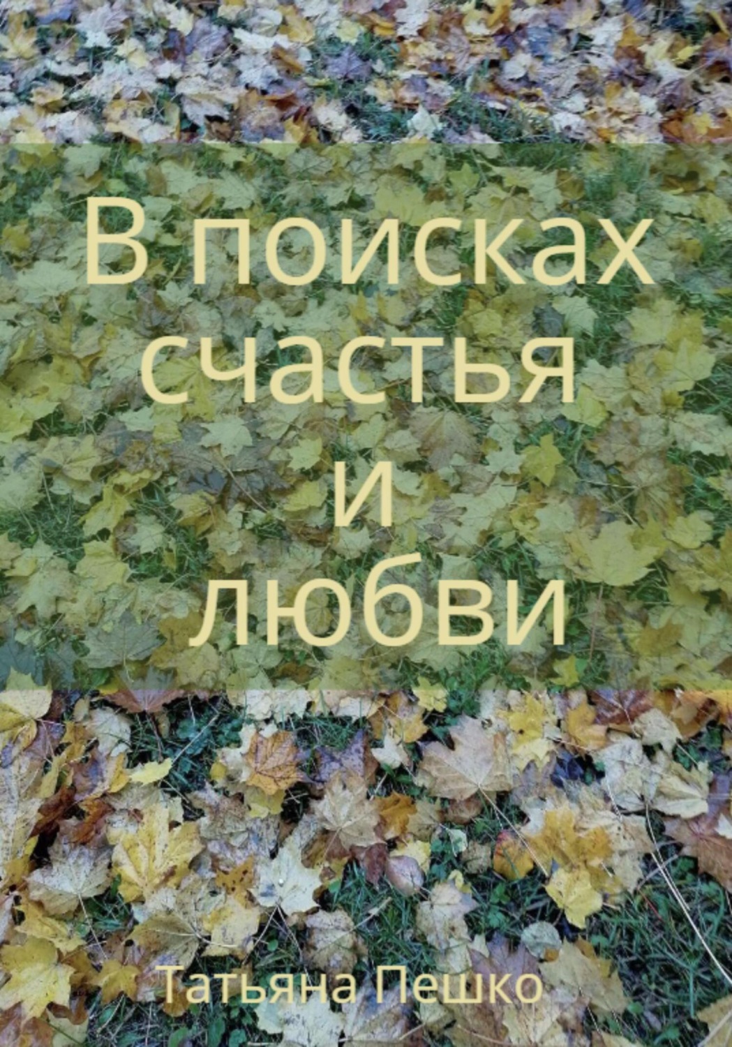 Обложка книги «В поисках счастья и любви»
