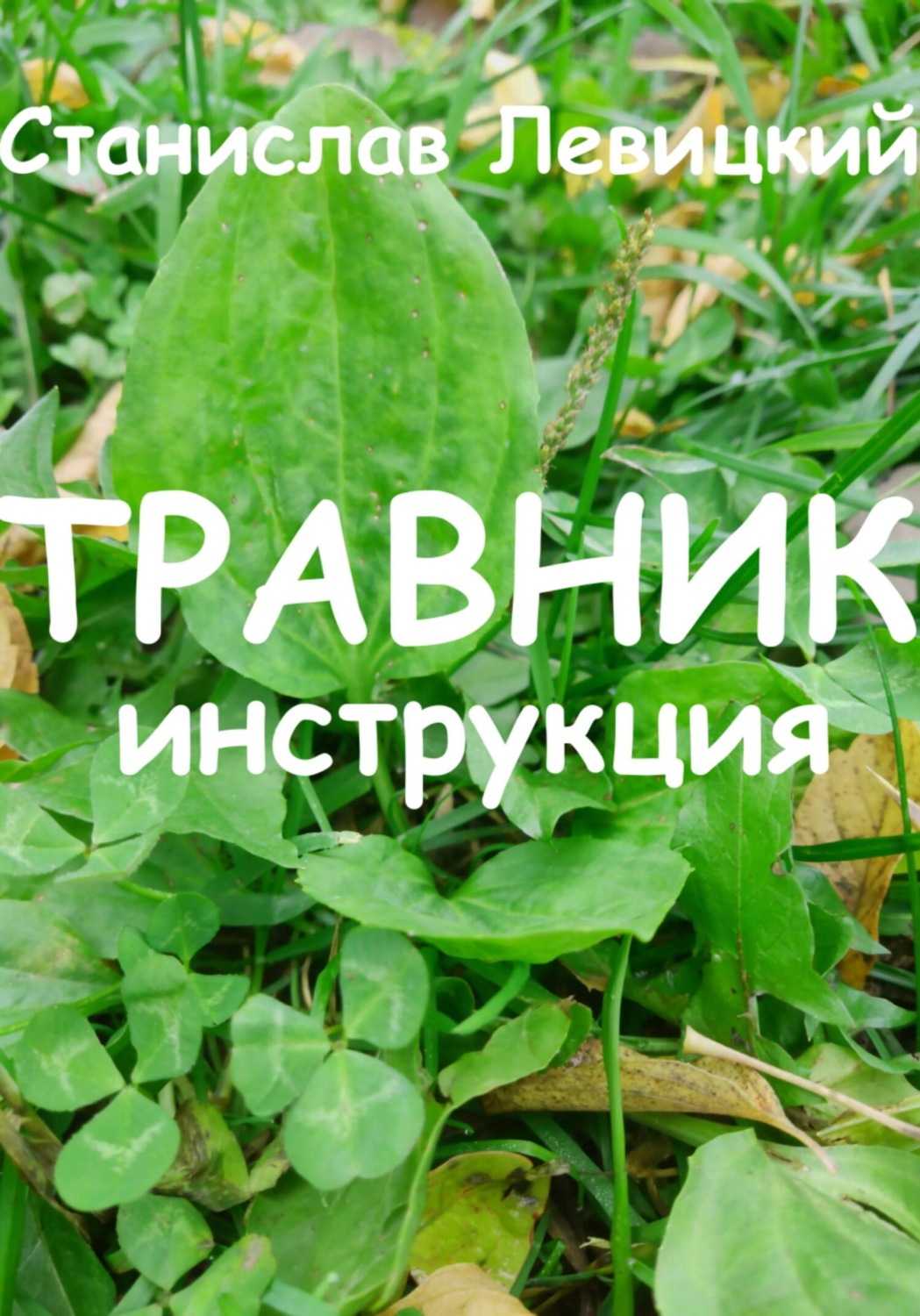 Обложка книги «Травник. Инструкция»