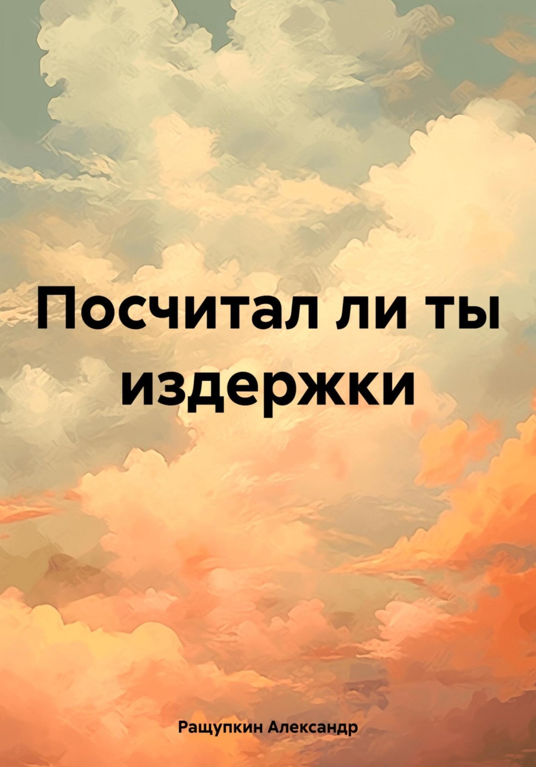 Обложка книги «Посчитал ли ты издержки»