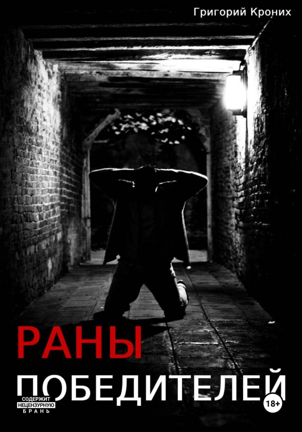 Обложка книги «Раны победителей»