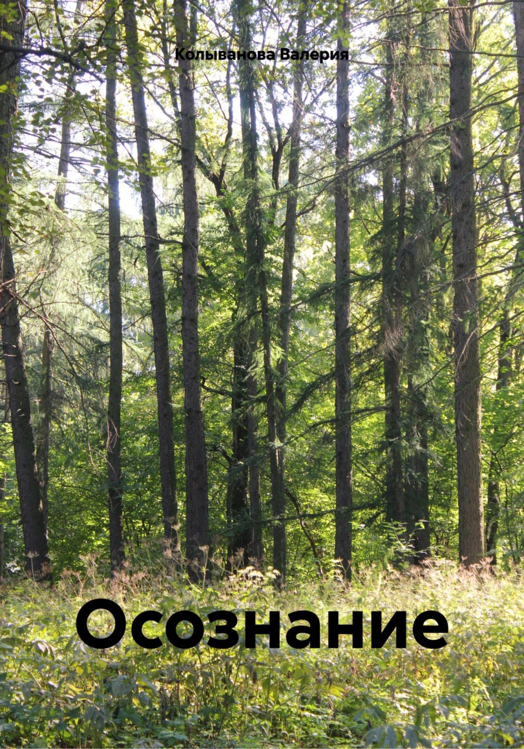 Обложка книги «Осознание»
