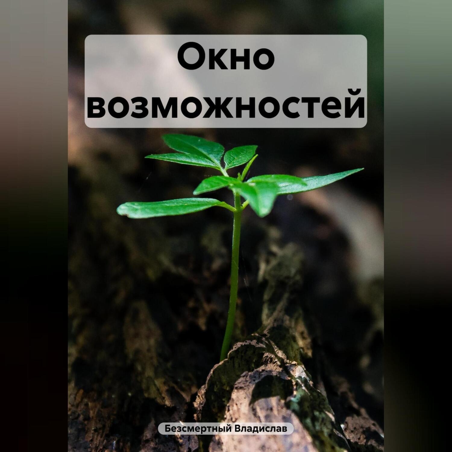 Обложка книги «Окно возможностей»