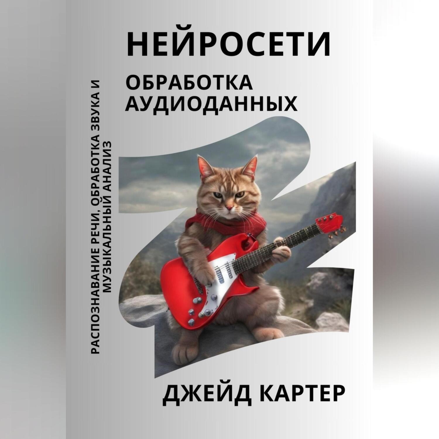 Обложка книги «Нейросети. Обработка аудиоданных»