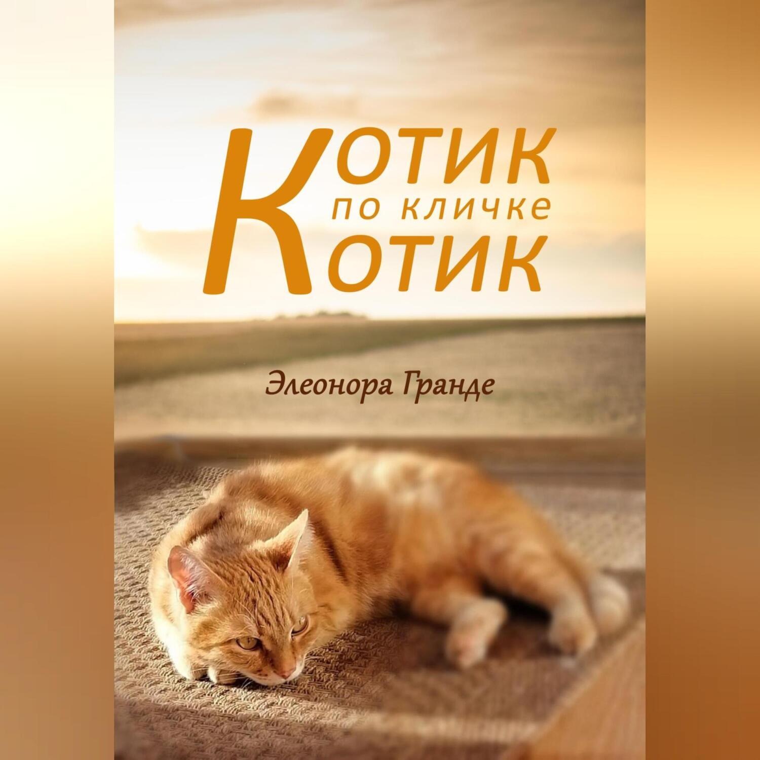 Обложка книги «Котик по кличке Котик»