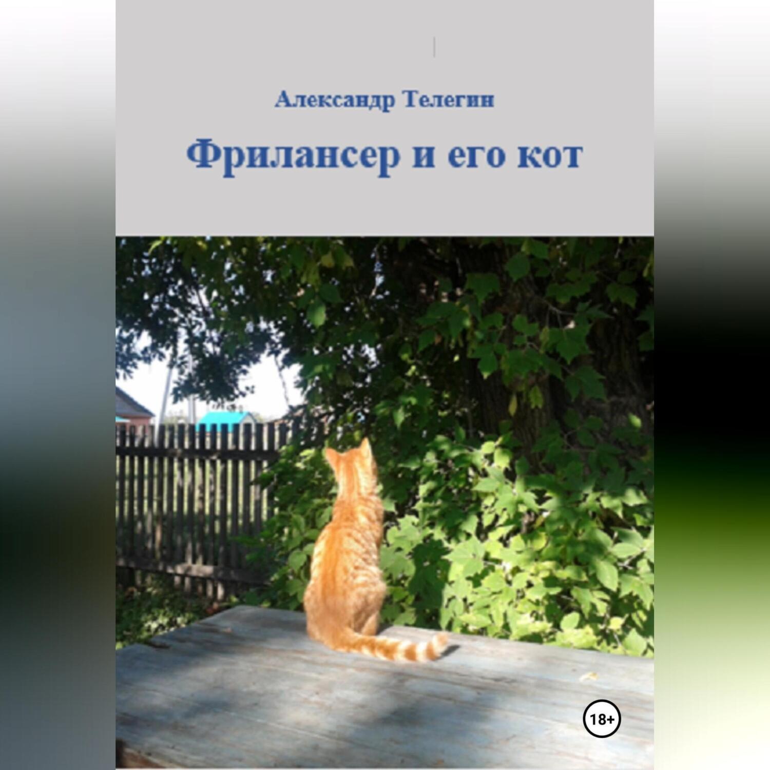 Обложка книги «Фрилансер и его кот»