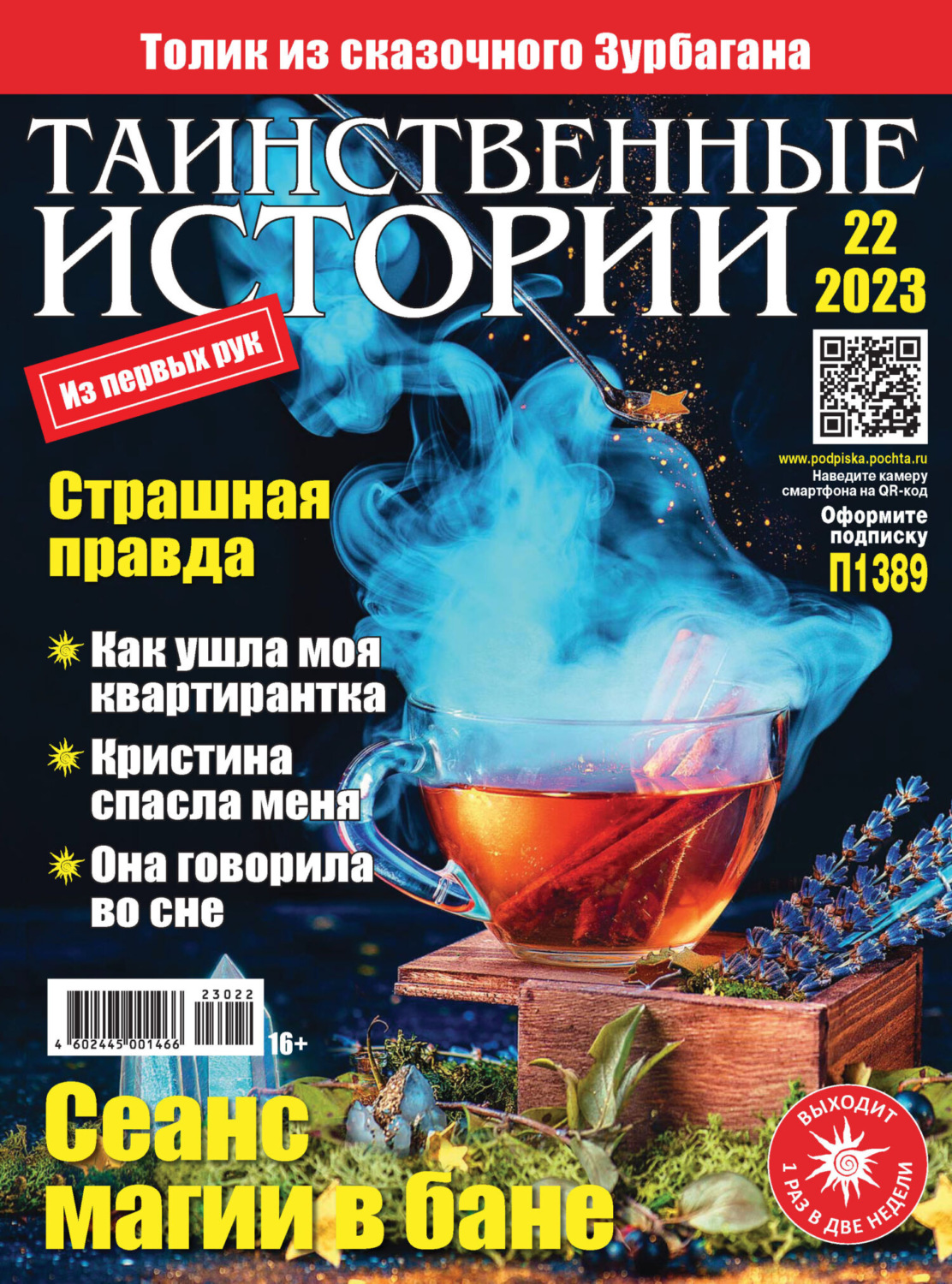 Обложка книги «Таинственные истории №22/2023»