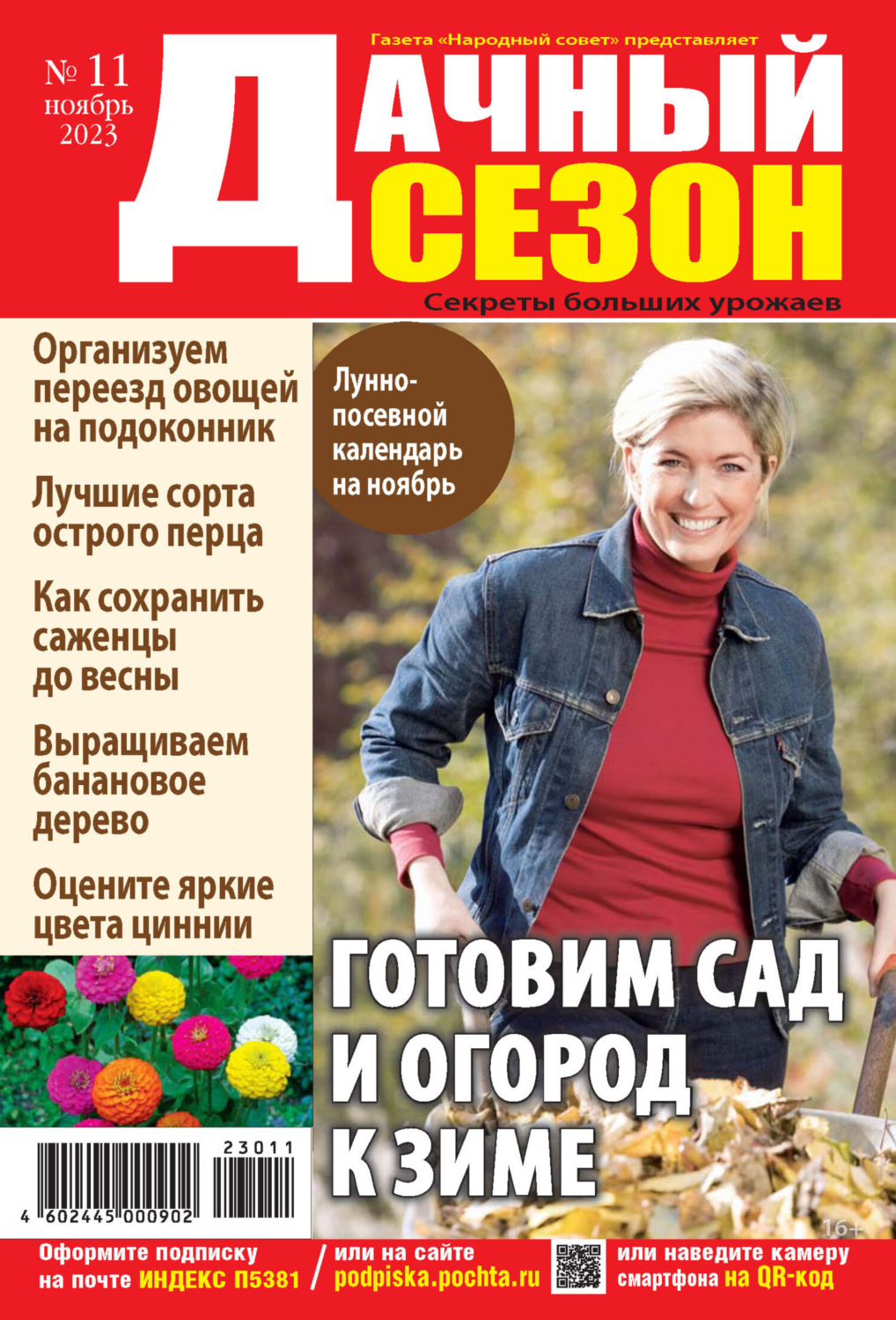 Обложка книги «Дачный сезон №11/2023»
