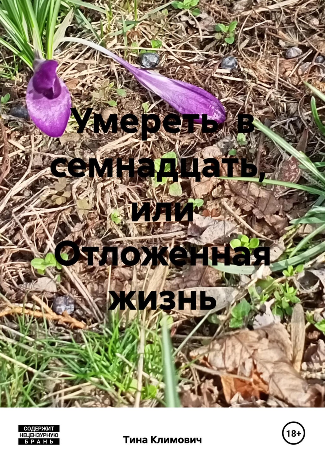 Обложка книги «Умереть в семнадцать, или Отложенная жизнь»