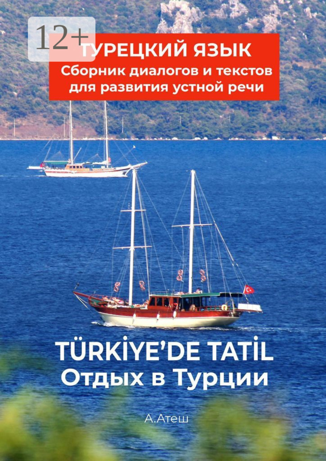 Обложка книги «Отдых в Турции. Турецкий язык. Сборник диалогов и текстов для развития устной речи»