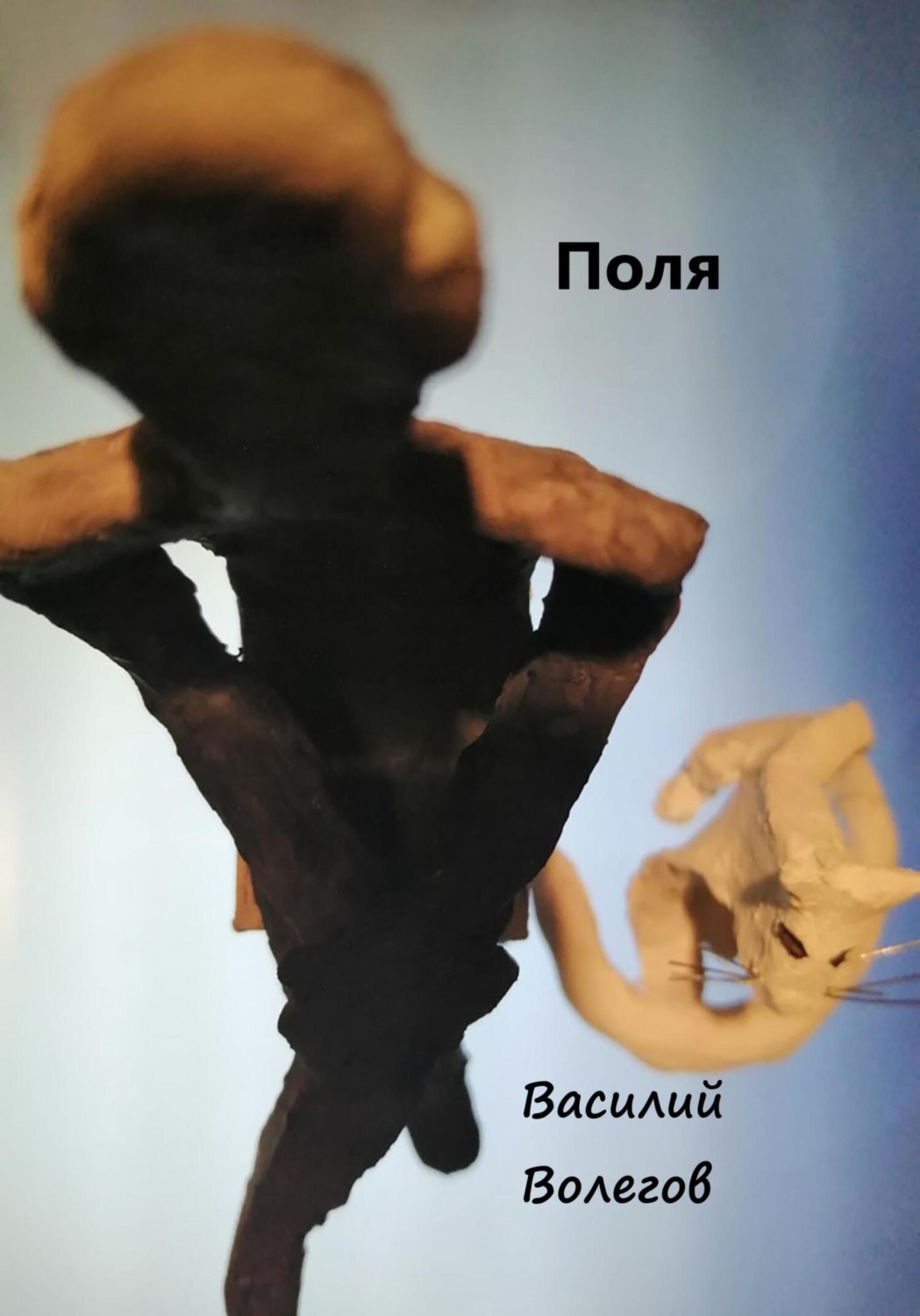 Обложка книги «Поля»