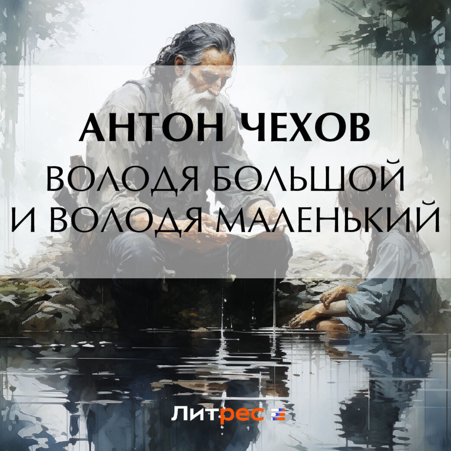 Обложка книги «Володя большой и Володя маленький»
